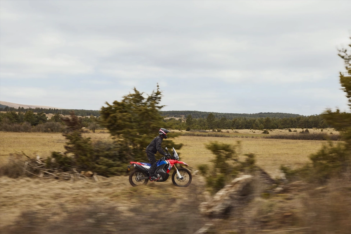 crf 300 rally 7 crf 300 rally 7