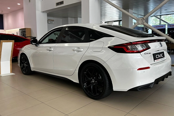 cv 7 cv 7