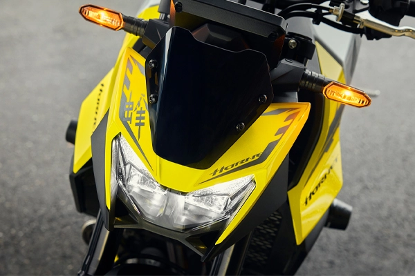 hornet pic visior